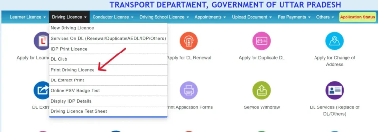 Sarathi-Parivahan-Dashboard-1